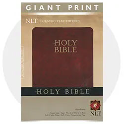 Large Print Bibles