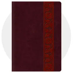 Study Bibles