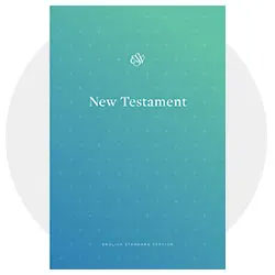Outreach Bibles