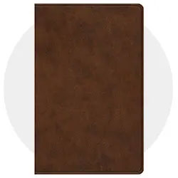 Gift & Award Bibles