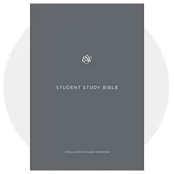 Teen Bibles