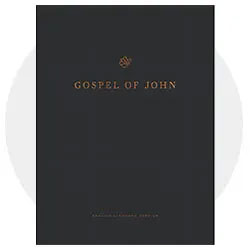 Devotional & And Reader's Bibles