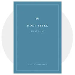 Economy Bibles