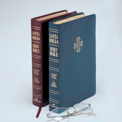 Bilingual Bibles