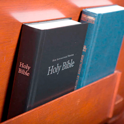 Pew Bibles