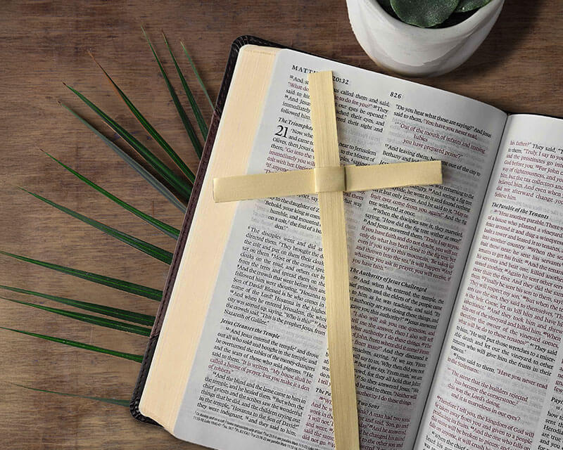 Palm Cross on a Bible
