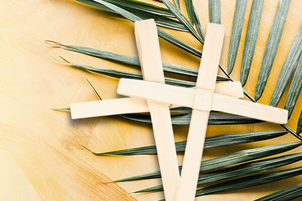 Fresh Palms