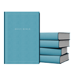 Outreach Bibles