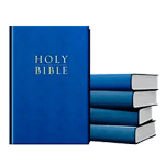 Bibles By The Case