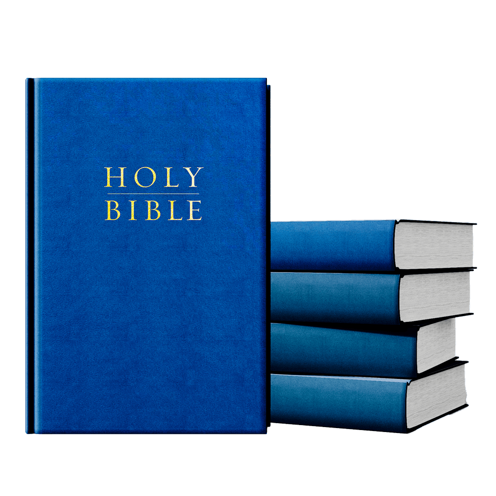 Pew Bibles