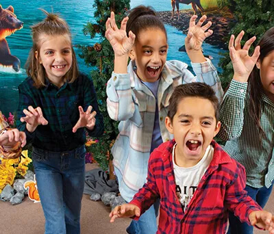 Treetop Treats