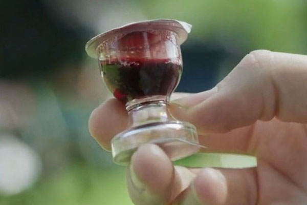 TrueVine Chalice