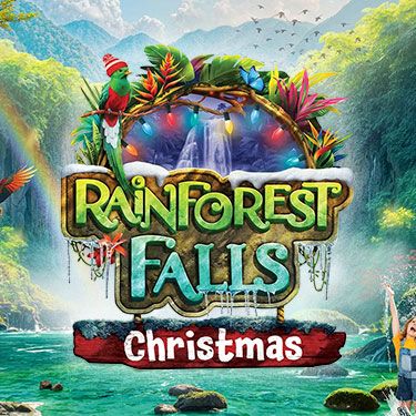 Rainforest Falls Christmas